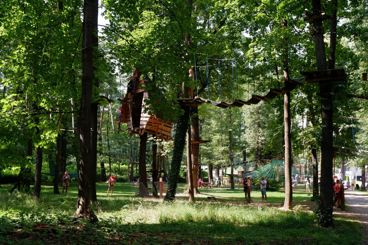 Parcours accrobranche dans les arbres en forêt