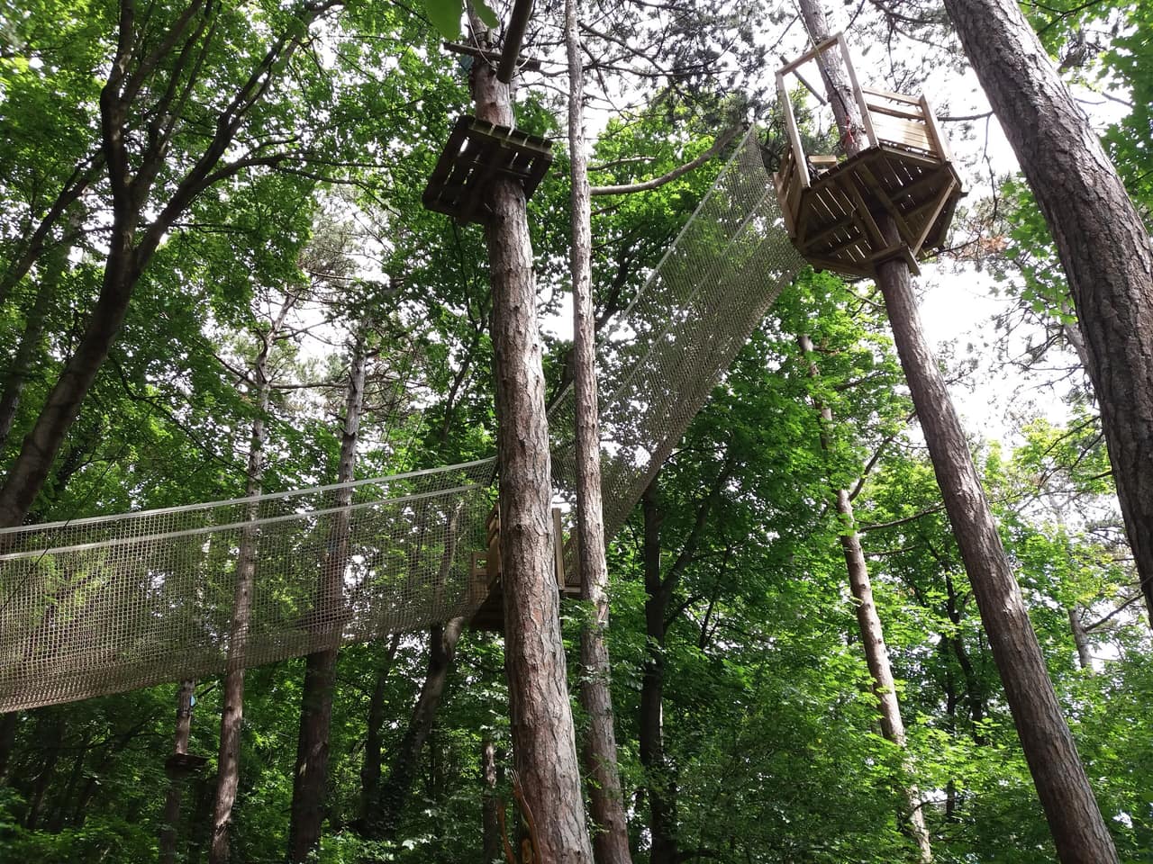 Filets et passerelles suspendus entre les arbres